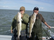 Thames_Estuary_Cod_061009_3